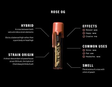 ROSE OG